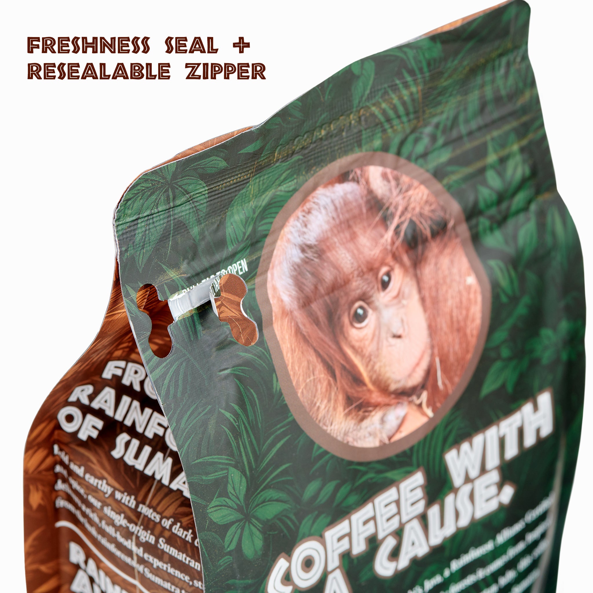 Jambi’s Java – Rainforest Alliance Certified Sumatran Coffee